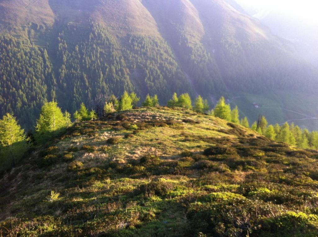 B&B Das Land-Palais - Private Mountain Hideaway Selva dei Molini Zewnętrze zdjęcie